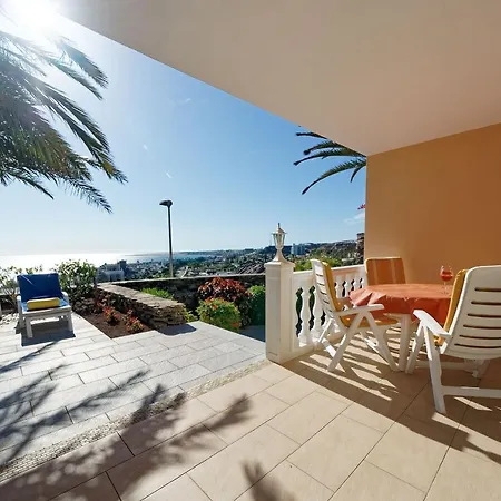 Hibiscus San Agustín