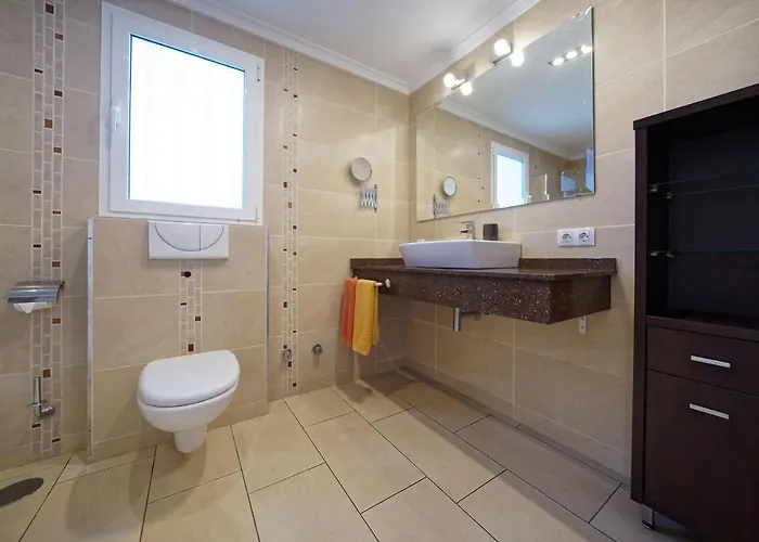 Hibiscus * San Agustín