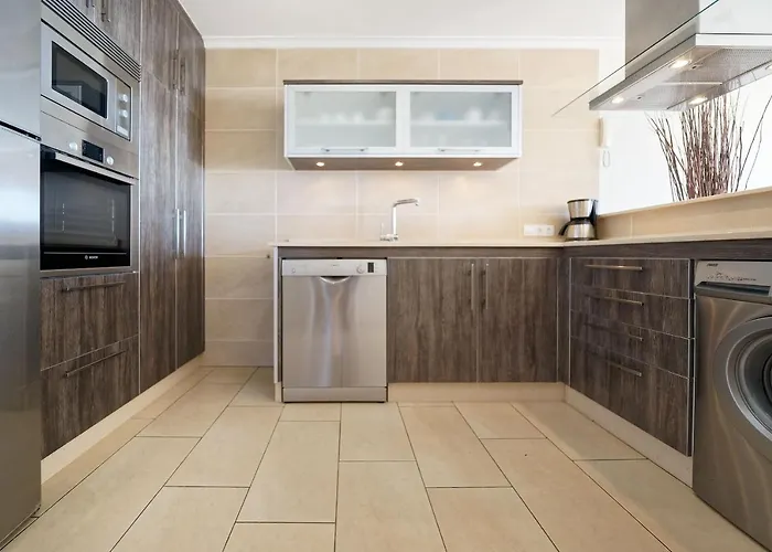 Hibiscus San Agustín