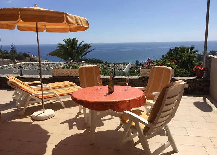 Hibiscus * San Agustín